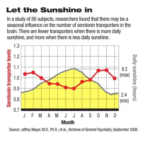 relationship between the sun and serotonin study by jeffrey meyer